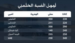 أسعار خدمة مندوب توصيل فوري في الإمارات أسعار خدمة مندوب توصيل فوري في الإمارات