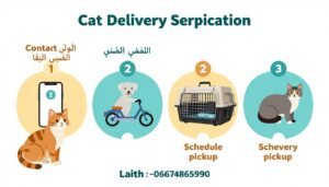 خطوات طلب خدمة مندوب توصيل قطط من لايث دليفري