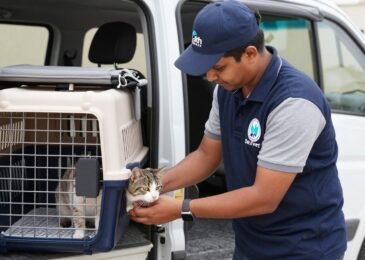 مندوب توصيل قطط